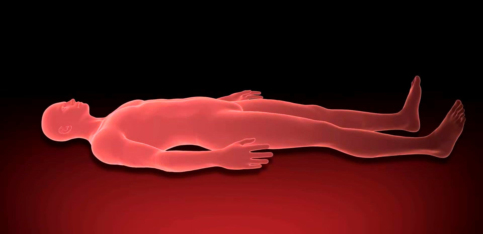 Thermische visualisatie van een liggend lichaam dat warm en rood kleurt door betere doorbloeding na 15 minuten ANDUFIT
